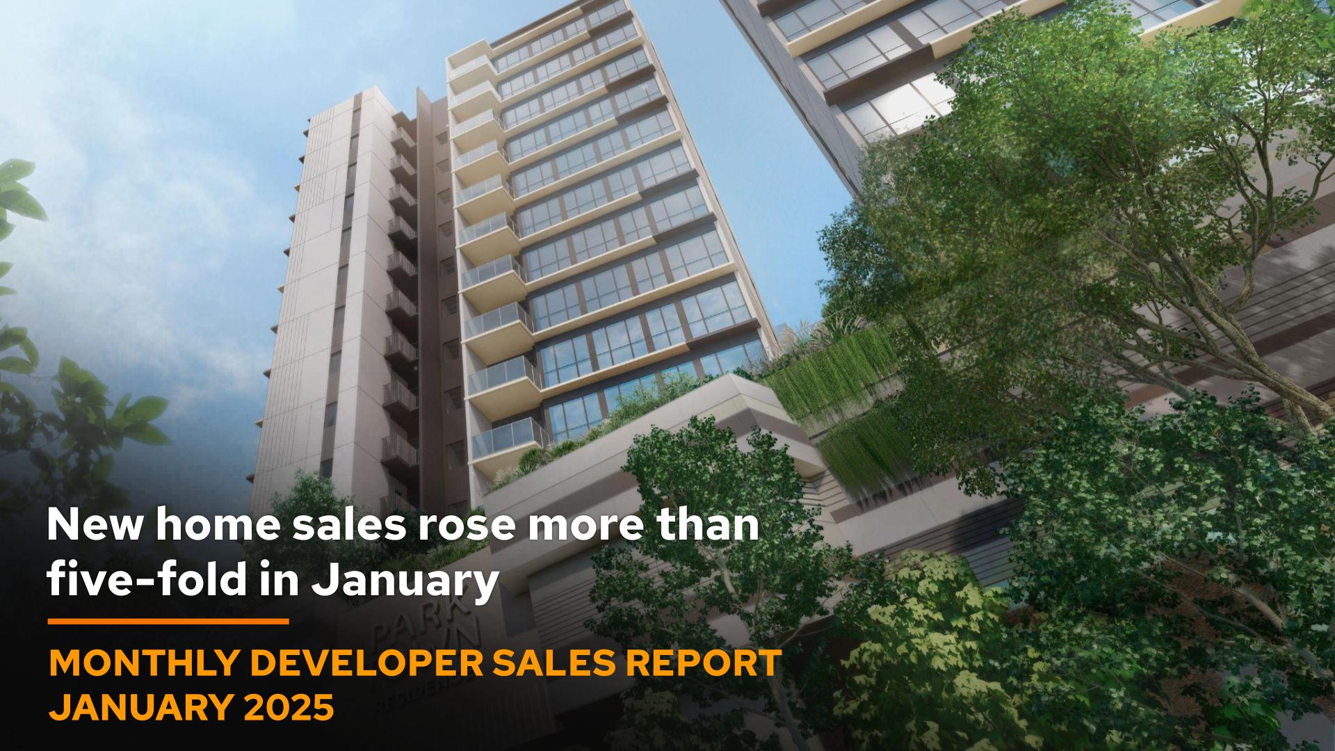 Monthly Developers Sales Jan 2025